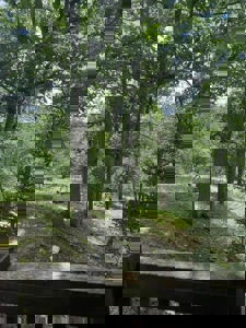 Private Canada Creek Ranch Cabin with Bunkhouse & Premier Hunting - image 20