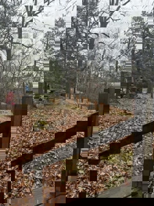 Private Canada Creek Ranch Cabin with Bunkhouse & Premier Hunting - image 26