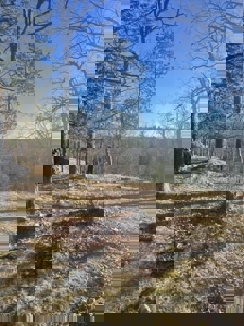 Private Canada Creek Ranch Cabin with Bunkhouse & Premier Hunting - image 38