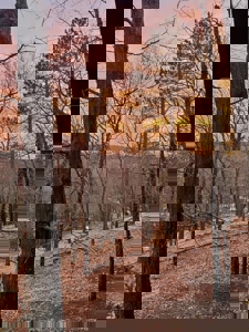 Private Canada Creek Ranch Cabin with Bunkhouse & Premier Hunting - image 39