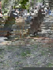 Private Canada Creek Ranch Cabin with Bunkhouse & Premier Hunting - image 36