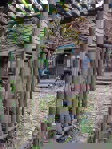 Private Canada Creek Ranch Cabin with Bunkhouse & Premier Hunting - image 2