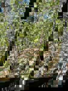 Private Canada Creek Ranch Cabin with Bunkhouse & Premier Hunting - image 32