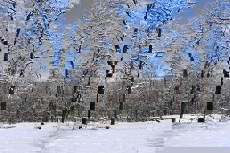 Private Canada Creek Ranch Cabin with Bunkhouse & Premier Hunting - image 49