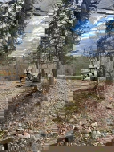 Private Canada Creek Ranch Cabin with Bunkhouse & Premier Hunting - image 37