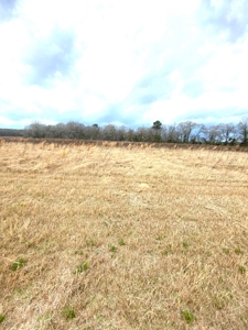 Private 32.5 acres Ready for your Homesite. - image 6