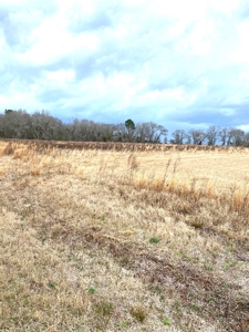 Private 32.5 acres Ready for your Homesite. - image 4