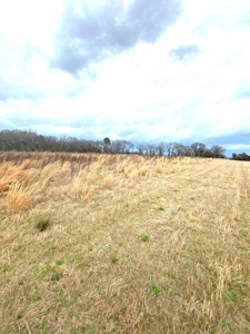 Private 32.5 acres Ready for your Homesite. - image 2