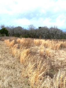 Private 32.5 acres Ready for your Homesite. - image 3