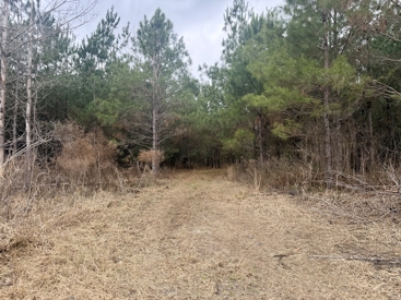 Listing 16