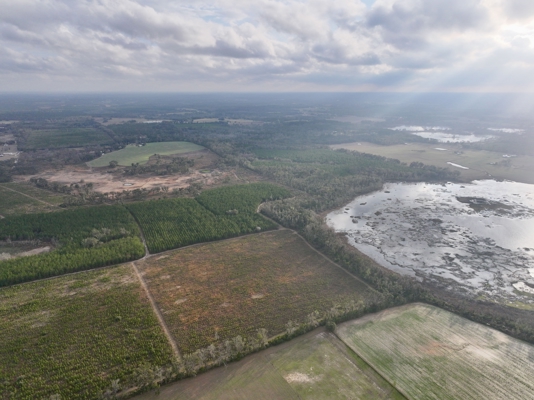 160 Acres Madison FL | Sustainable Timber Income & Trophy Hunting