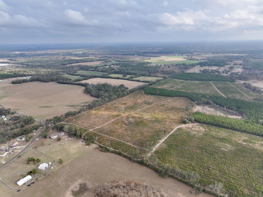 160 Acres Madison FL | Sustainable Timber Income & Trophy Hunting