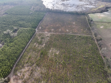 Listing 16