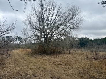 Listing 16