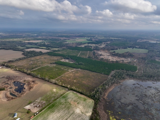 160 Acres Madison FL | Sustainable Timber Income & Trophy Hunting