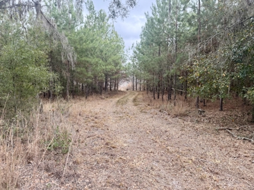 Listing 16