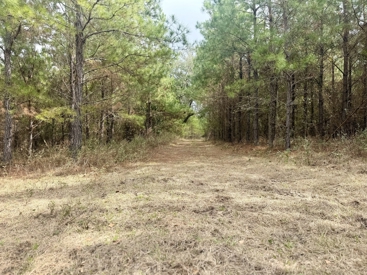 Listing 16