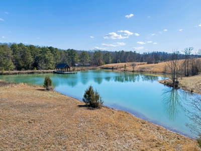 Land for Sale in a Gated Community of Kingston, TN - image 13