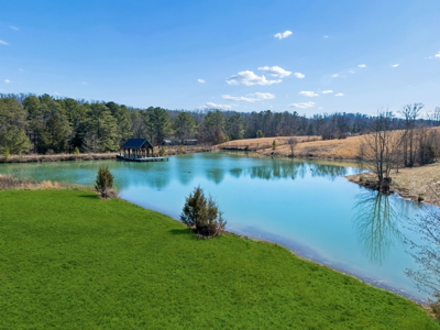 Land for Sale in a Gated Community of Kingston, TN - image 27