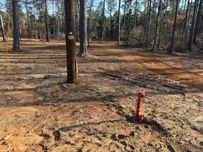 King Estates Lot 10: 9-Acre Wooded Homesite in Ruston, LA - image 3