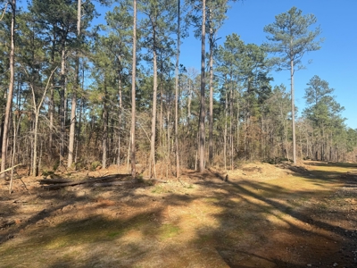 King Estates Lot 10: 9-Acre Wooded Homesite in Ruston, LA - image 1
