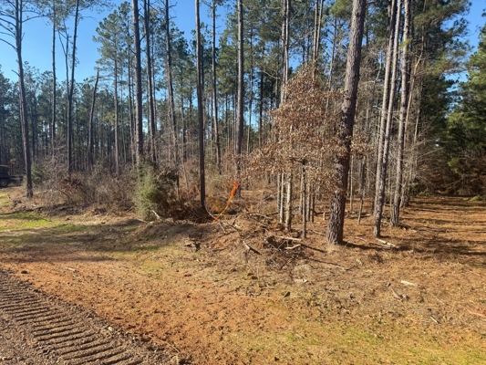 King Estates Lot 10: 9-Acre Wooded Homesite in Ruston, LA