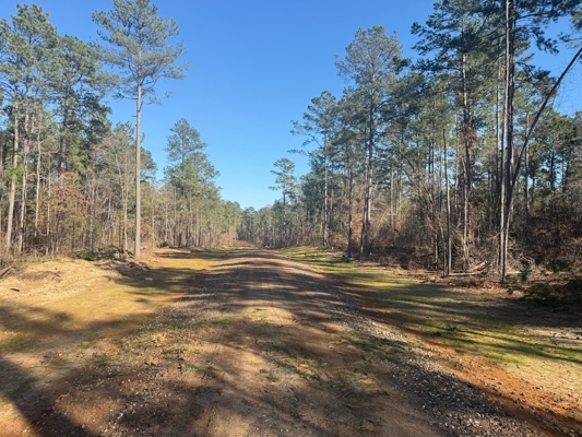 King Estates Lot 10: 9-Acre Wooded Homesite in Ruston, LA