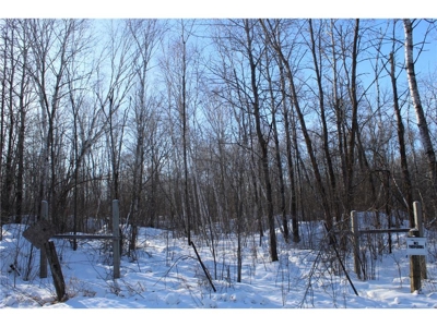 Private 40 Acres in Milaca with Timber, Field & Wildlife Habitat - image 5