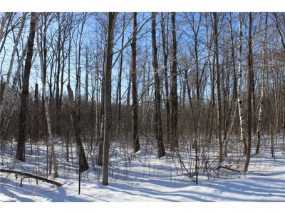 Private 40 Acres in Milaca with Timber, Field & Wildlife Habitat - image 2