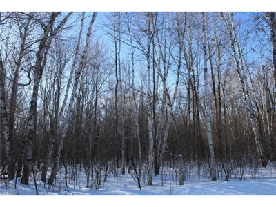 Private 40 Acres in Milaca with Timber, Field & Wildlife Habitat - image 3