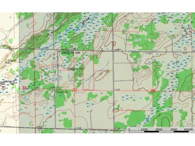 Private 40 Acres in Milaca with Timber, Field & Wildlife Habitat - image 10