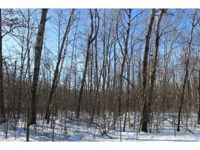 Private 40 Acres in Milaca with Timber, Field & Wildlife Habitat - image 1