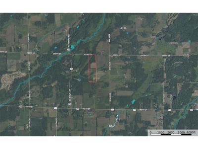 Private 40 Acres in Milaca with Timber, Field & Wildlife Habitat - image 9