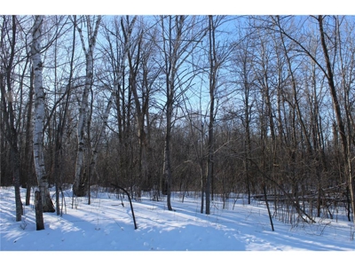 Private 40 Acres in Milaca with Timber, Field & Wildlife Habitat - image 6