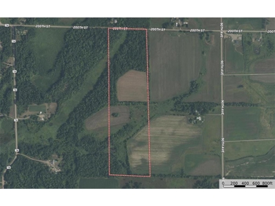 Private 40 Acres in Milaca with Timber, Field & Wildlife Habitat - image 7