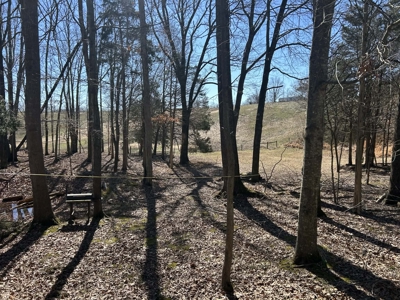 Investment Home Near Dale Hollow Lake - image 3