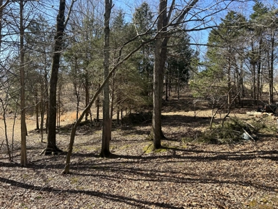 Investment Home Near Dale Hollow Lake - image 4