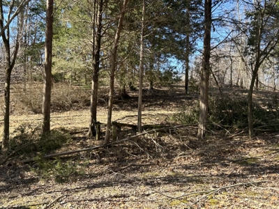 Investment Home Near Dale Hollow Lake - image 5