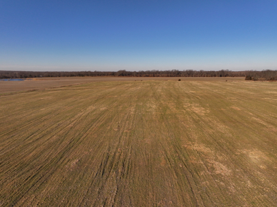 Land For Sale Barton County Missouri - image 15