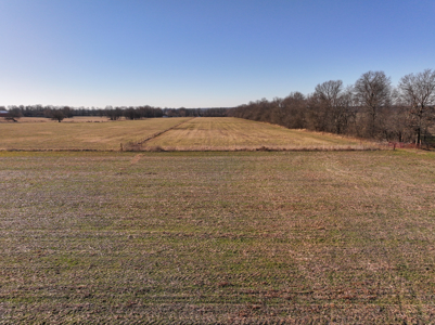 Land For Sale Barton County Missouri - image 14