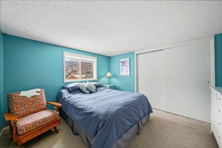 Perched Above Ouray: 360° Views of the Amphitheater & Twin Peaks - image 32