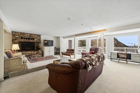 Perched Above Ouray: 360° Views of the Amphitheater & Twin Peaks - image 29