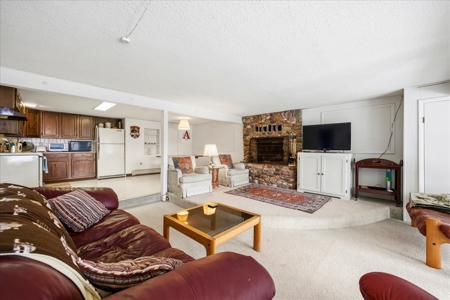 Perched Above Ouray: 360° Views of the Amphitheater & Twin Peaks - image 28