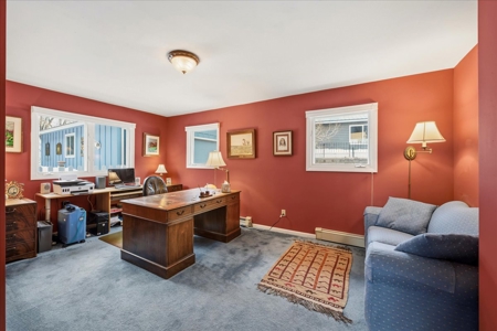 Perched Above Ouray: 360° Views of the Amphitheater & Twin Peaks - image 23