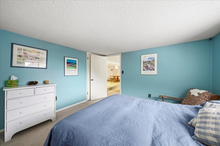 Perched Above Ouray: 360° Views of the Amphitheater & Twin Peaks - image 33