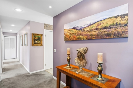 Perched Above Ouray: 360° Views of the Amphitheater & Twin Peaks - image 17