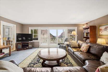 Perched Above Ouray: 360° Views of the Amphitheater & Twin Peaks - image 11