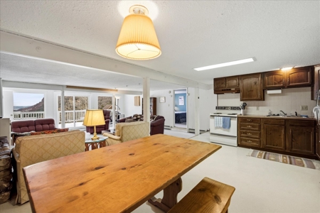 Perched Above Ouray: 360° Views of the Amphitheater & Twin Peaks - image 31