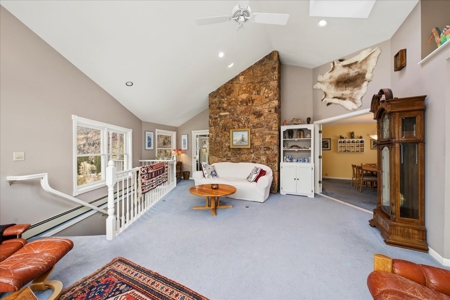 Perched Above Ouray: 360° Views of the Amphitheater & Twin Peaks - image 6