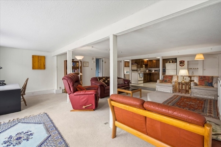 Perched Above Ouray: 360° Views of the Amphitheater & Twin Peaks - image 27